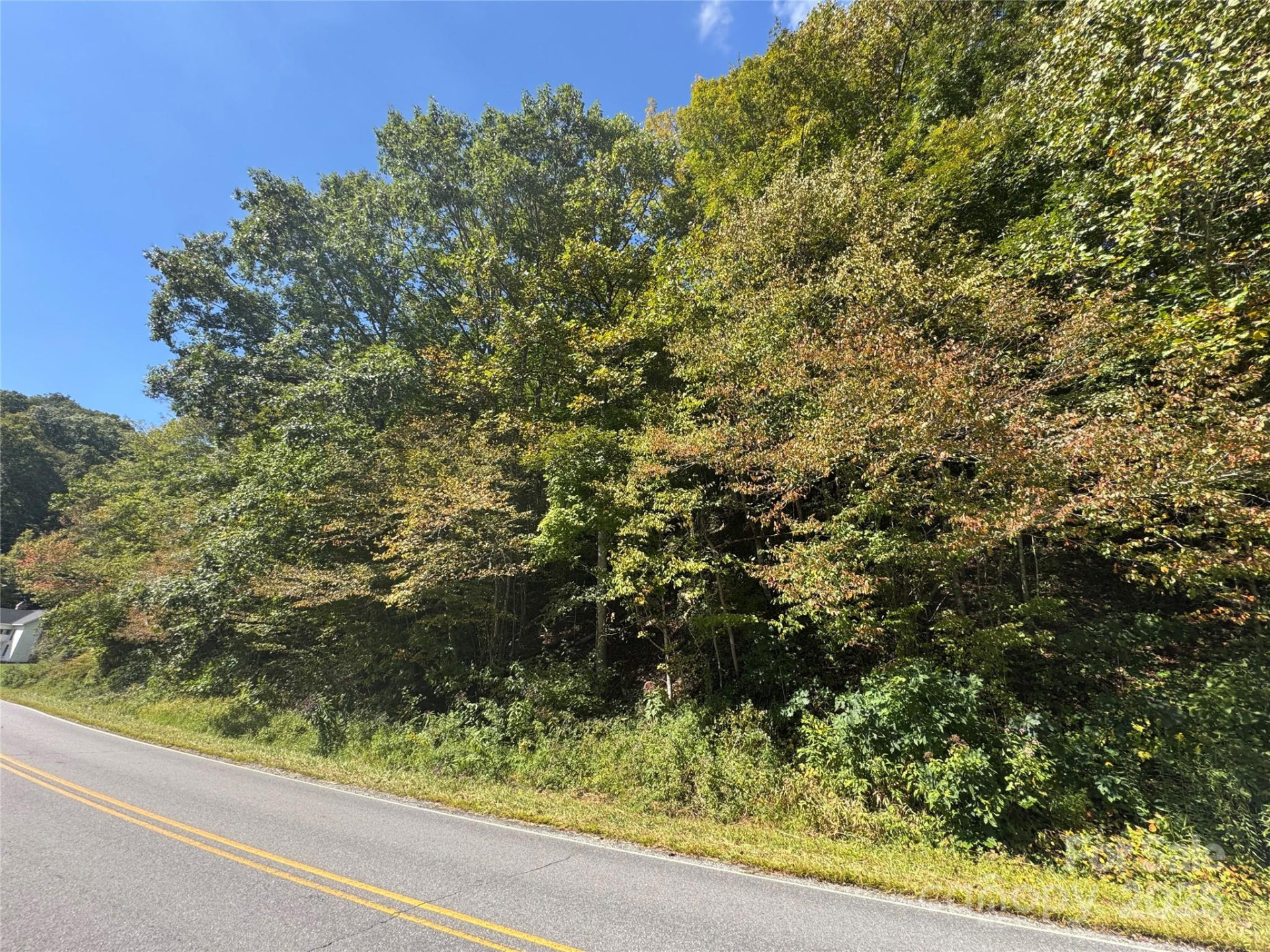 00 Puncheon Fork Road - Photo 7