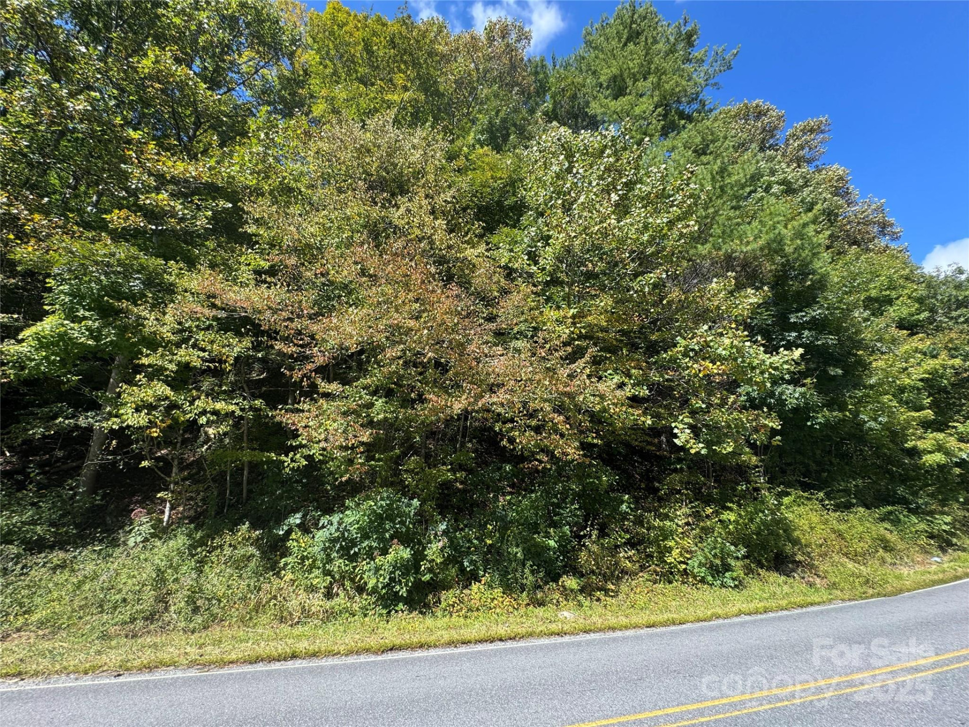 00 Puncheon Fork Road - Photo 8