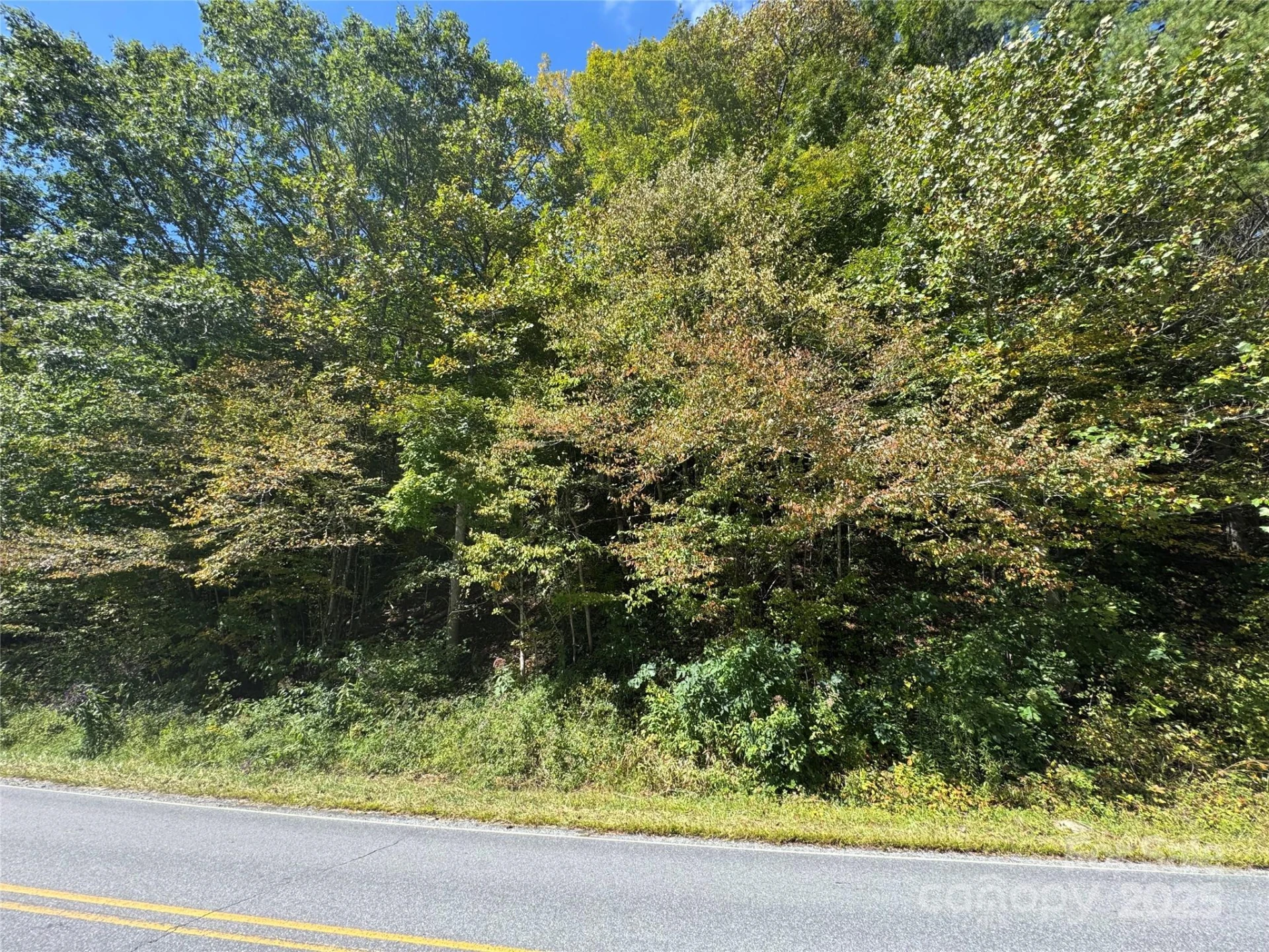 00 Puncheon Fork Road - Photo 9