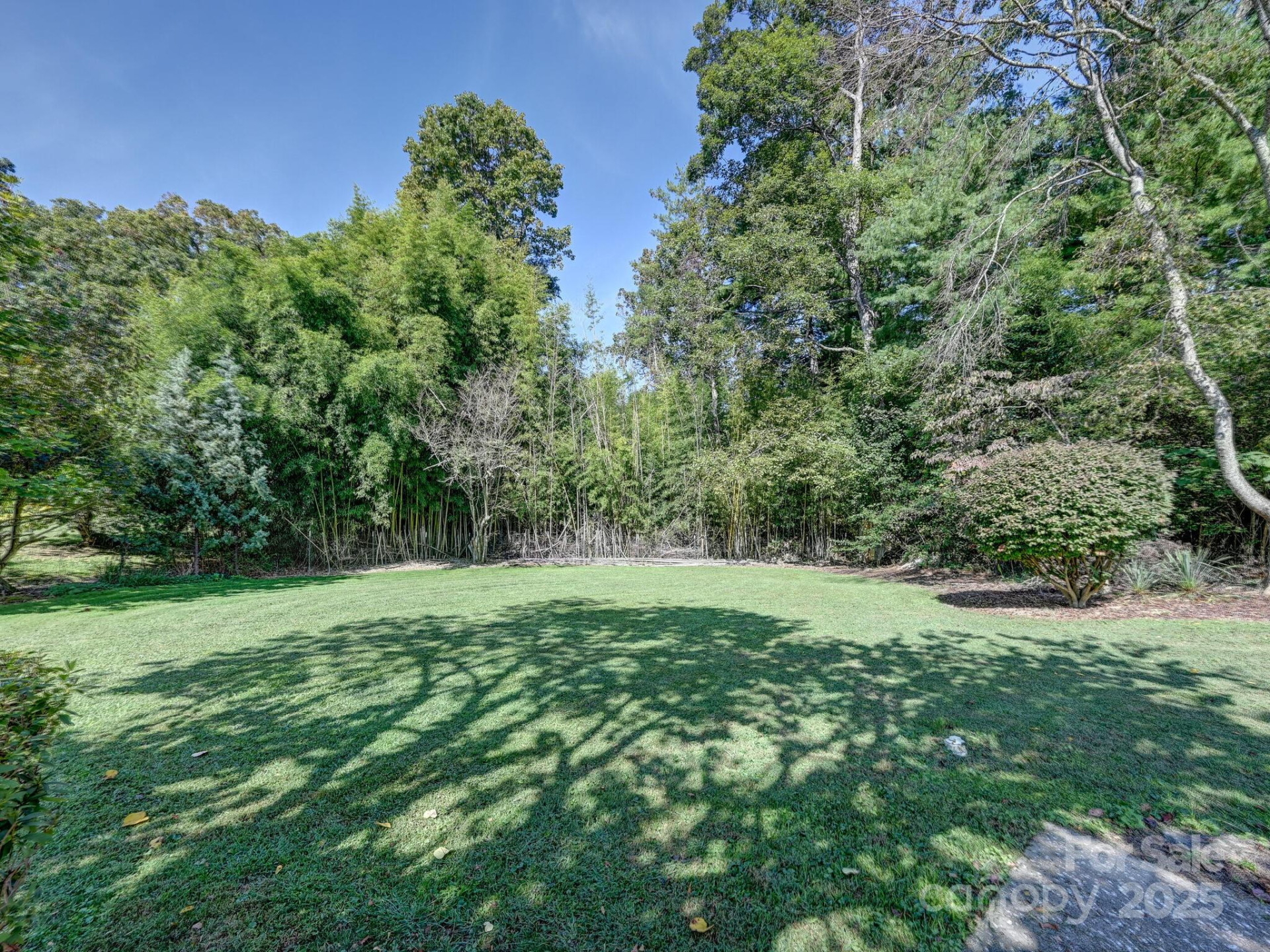 402 Balsam Road - Photo 17