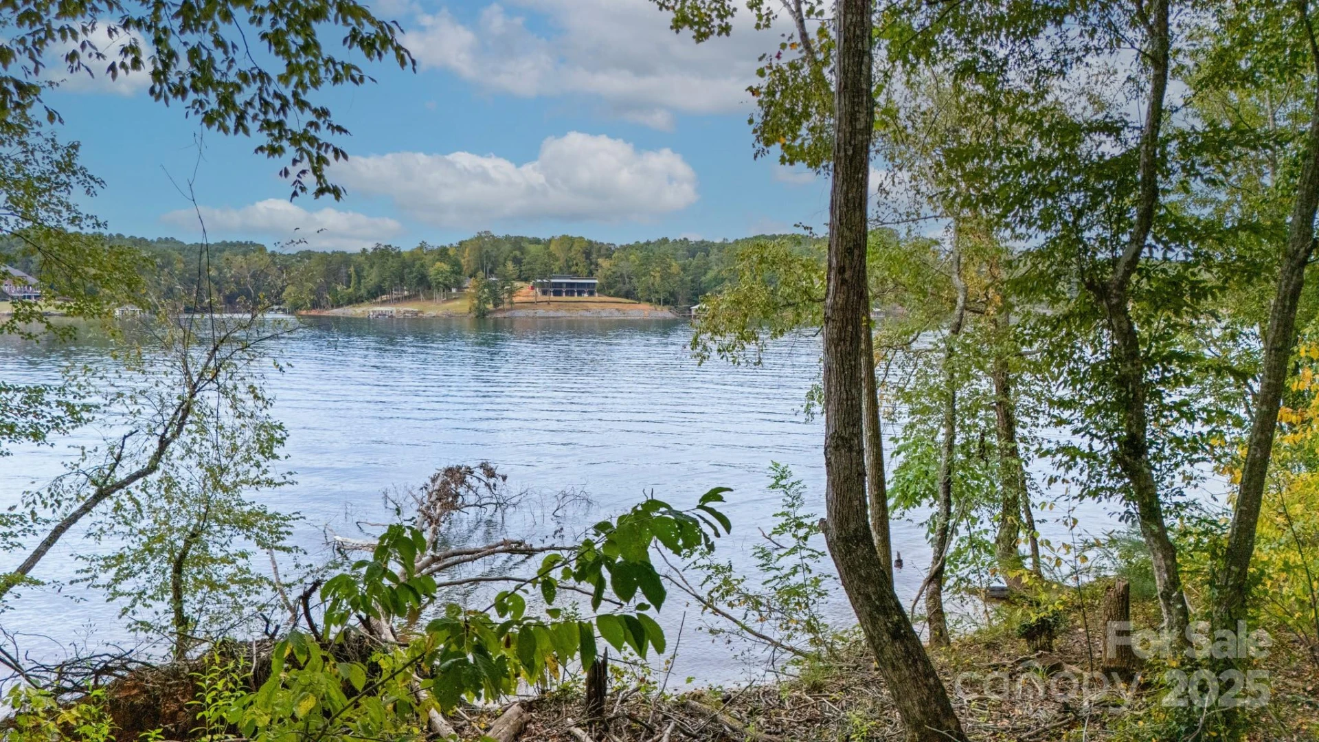 3298 Belford Trail #175 - Photo 12