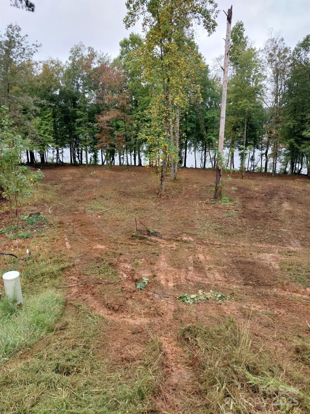 3298 Belford Trail #175 - Photo 3