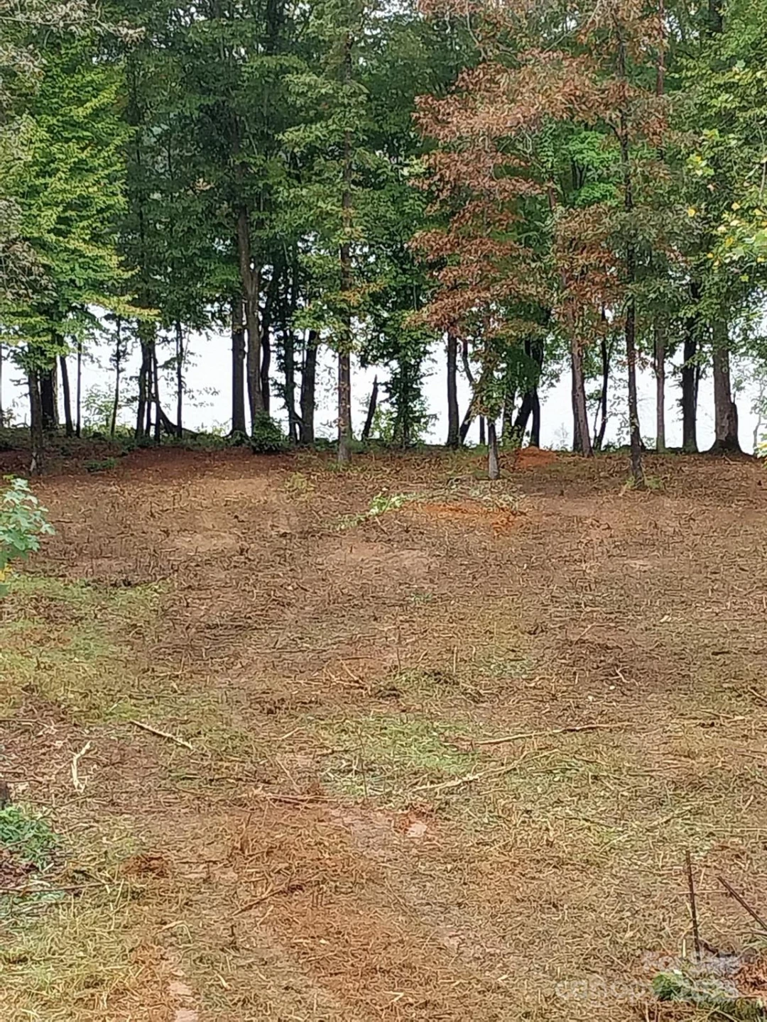 3298 Belford Trail #175 - Photo 5