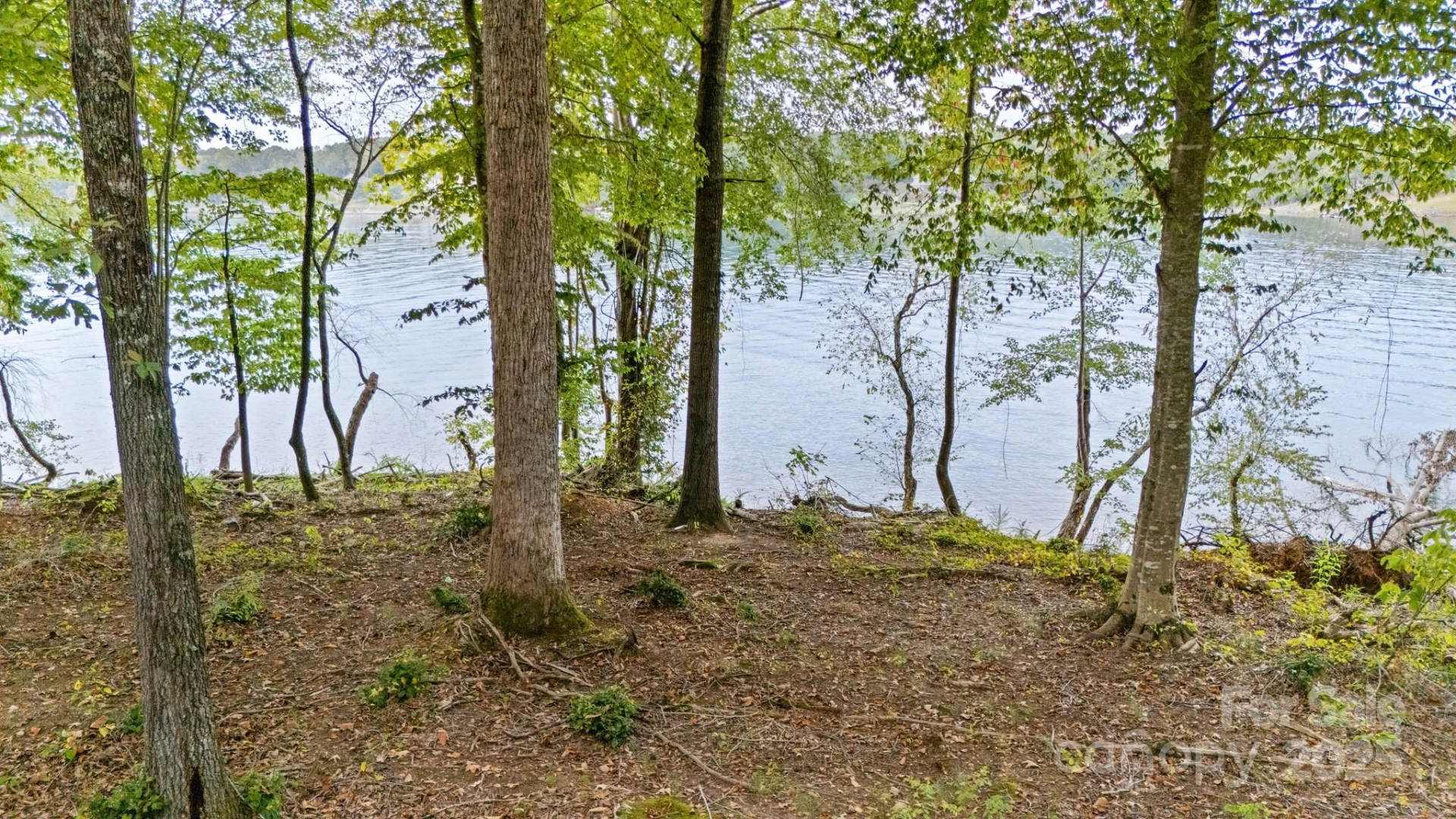 3298 Belford Trail #175 - Photo 6