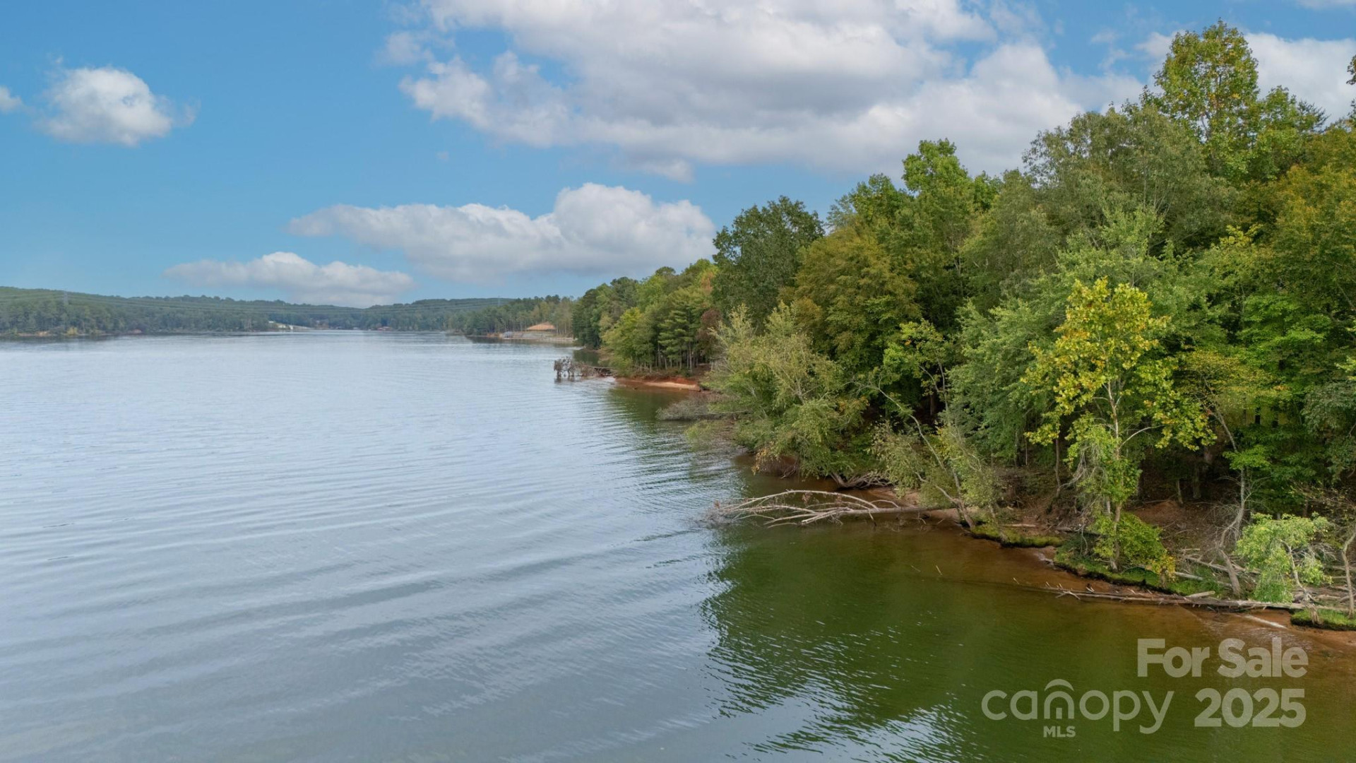 3298 Belford Trail #175 - Photo 10