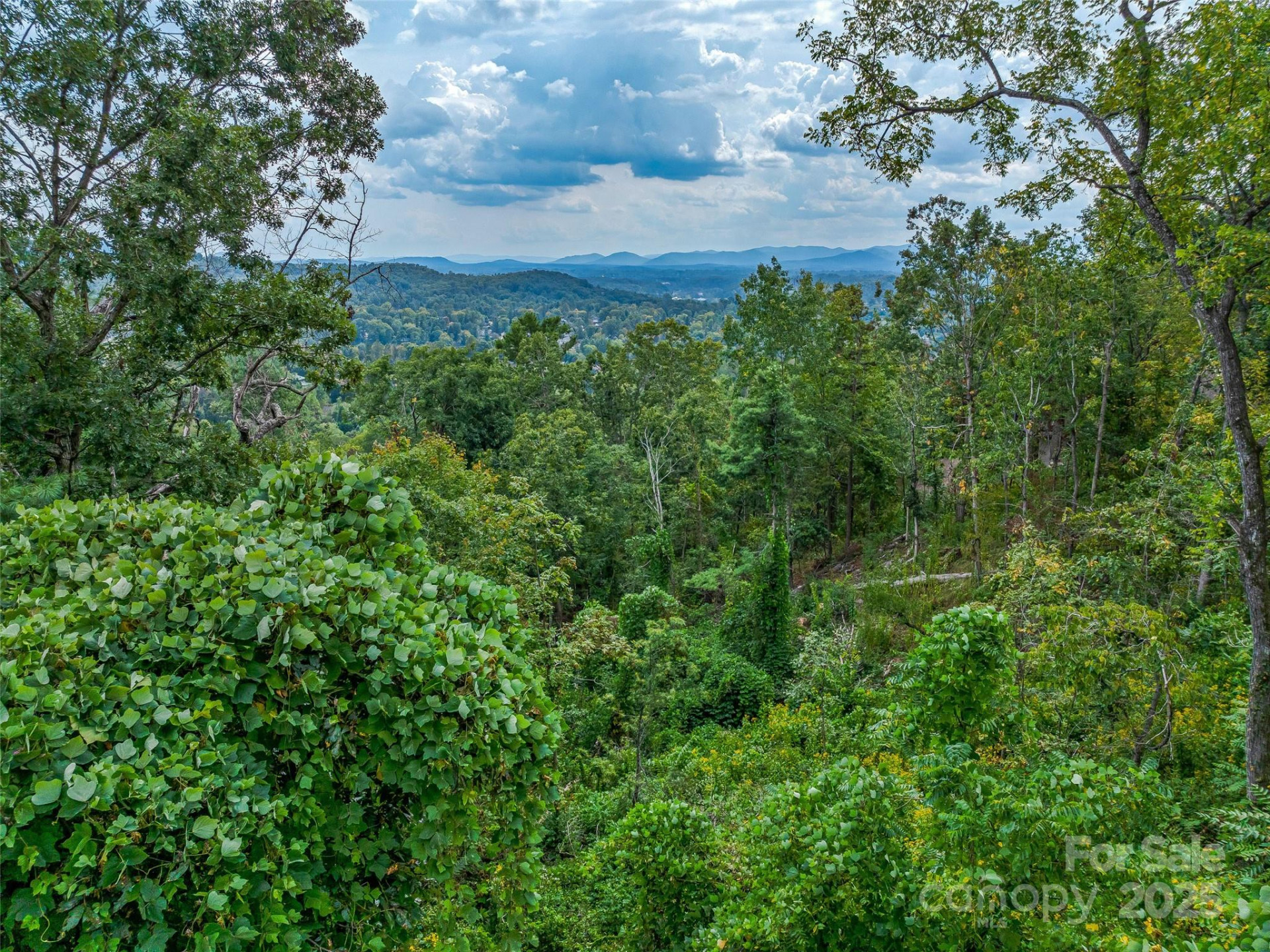 147 Senator Reynolds Road - Photo 2