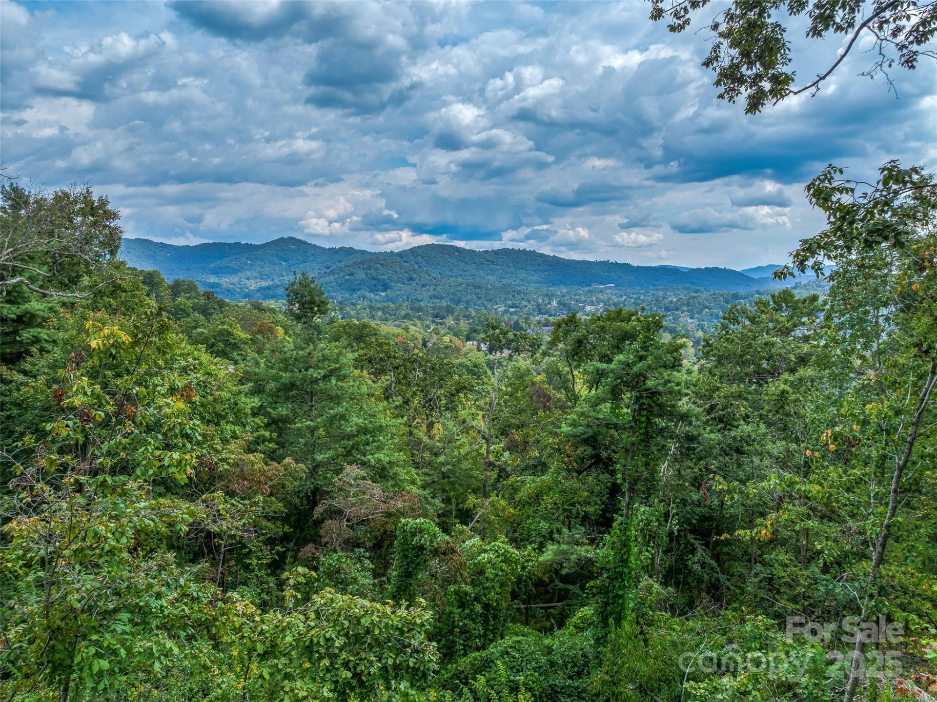 147 Senator Reynolds Road - Photo 3