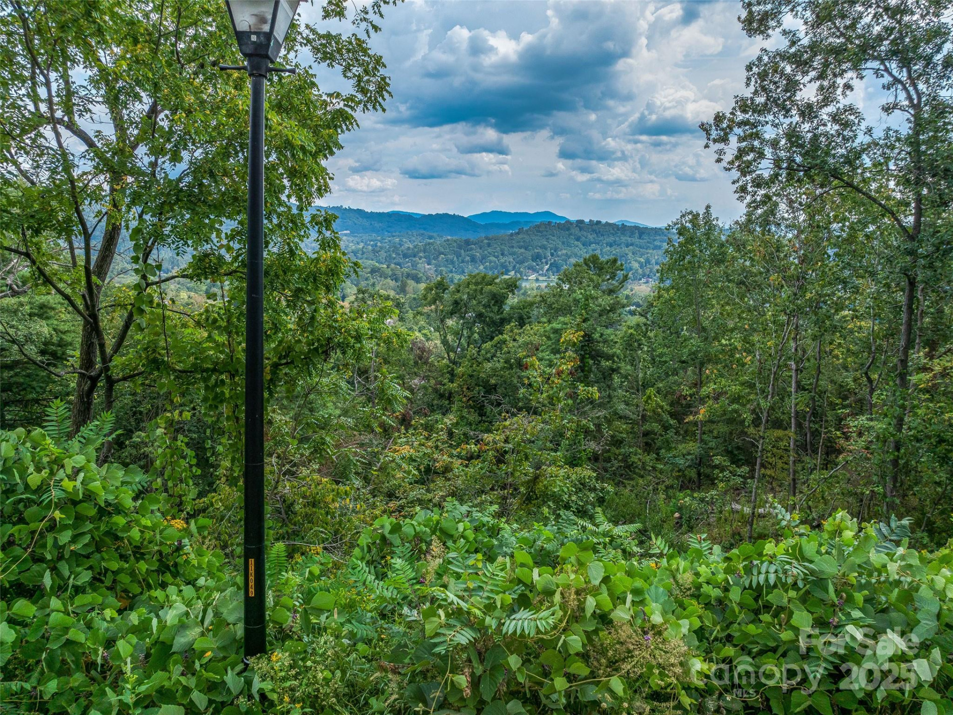 147 Senator Reynolds Road - Photo 22