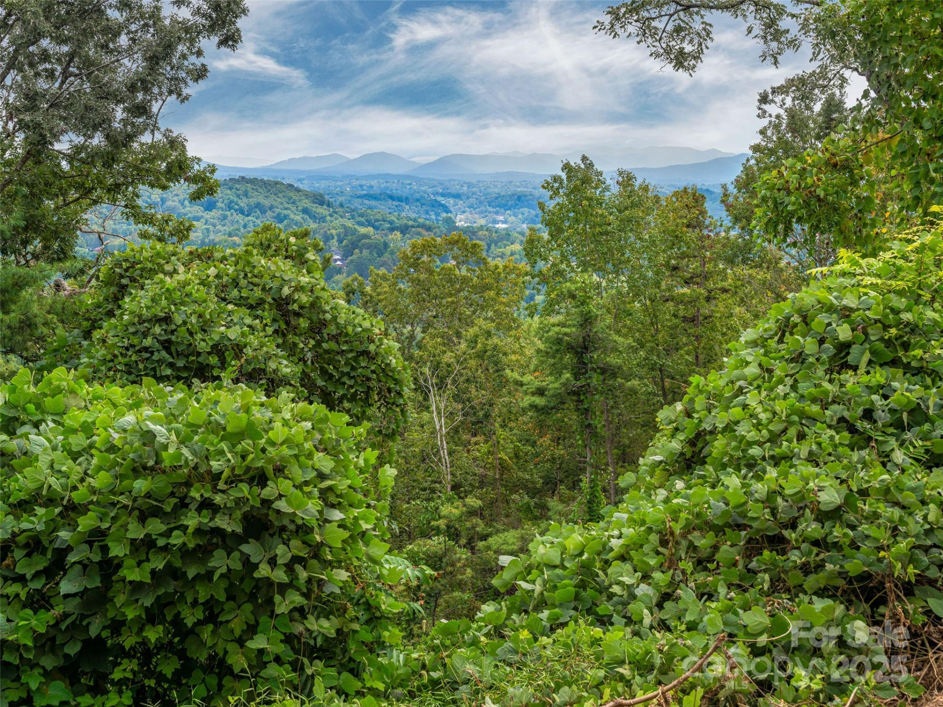 147 Senator Reynolds Road - Photo 24