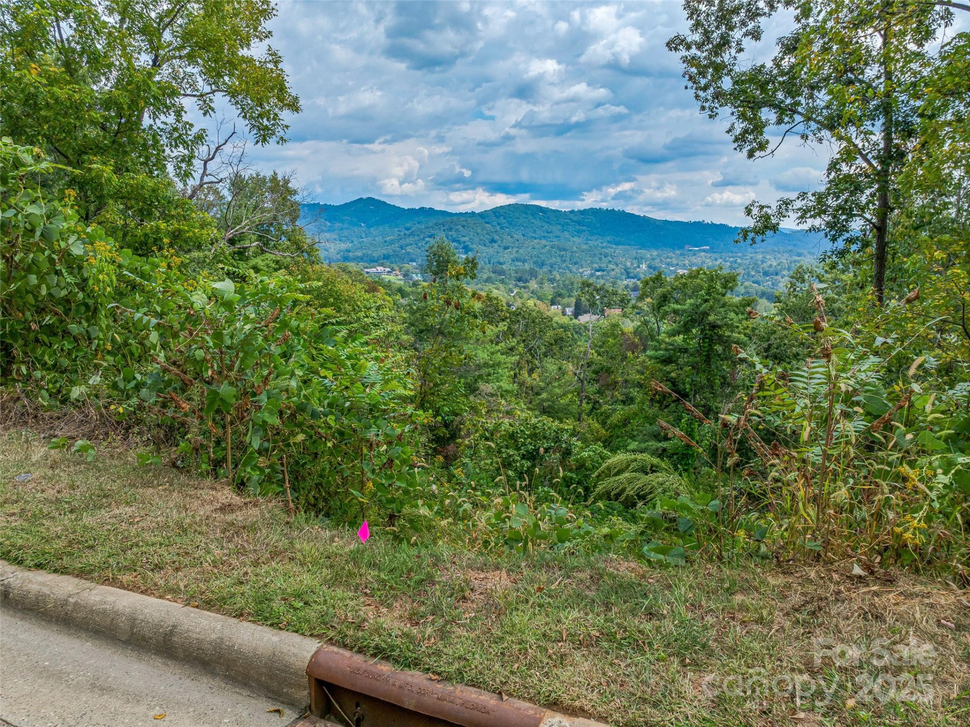 147 Senator Reynolds Road - Photo 9