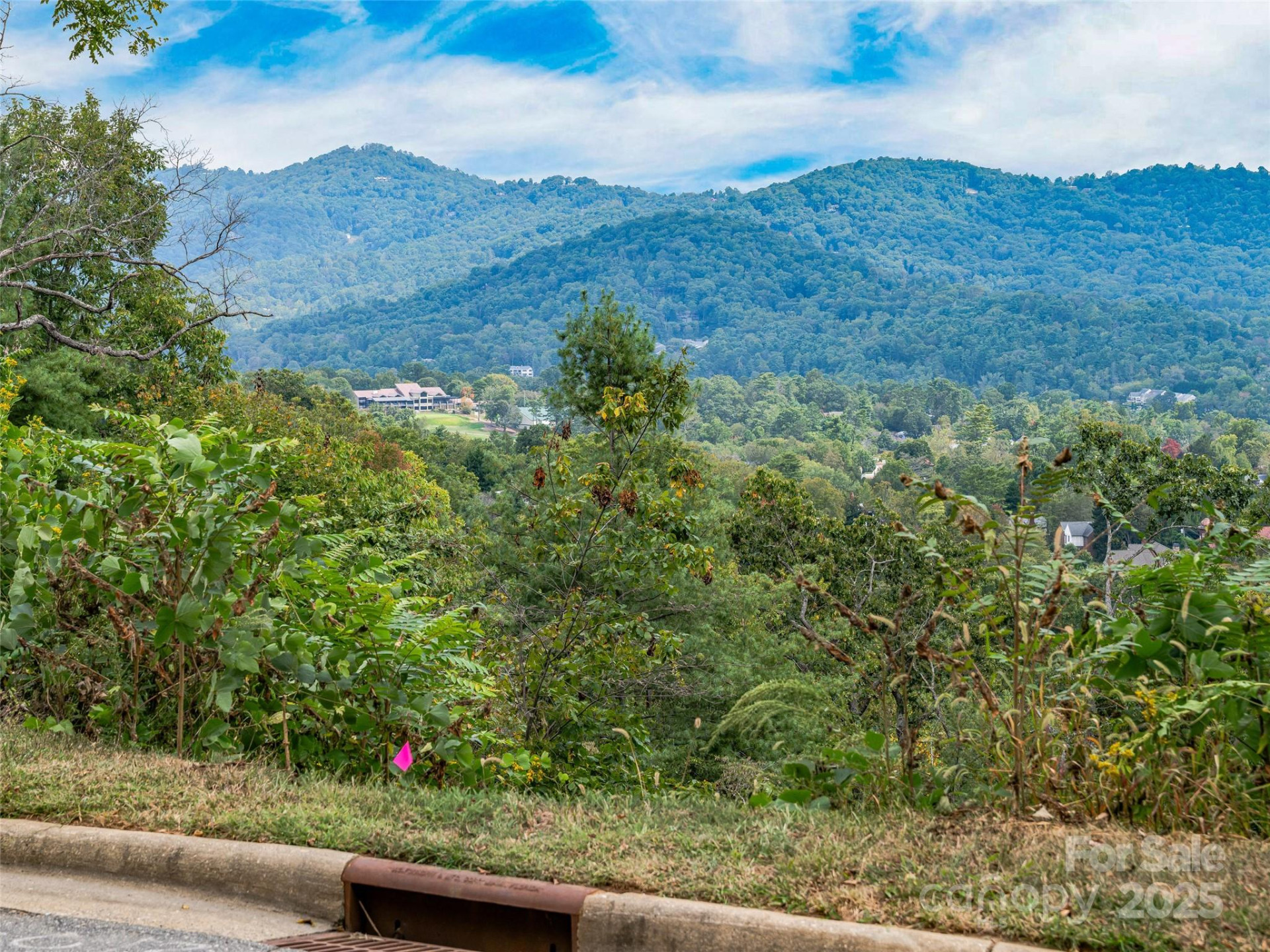 147 Senator Reynolds Road - Photo 10