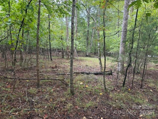 00 Zackery Lane - Photo 13