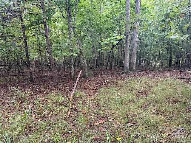 00 Zackery Lane - Photo 14