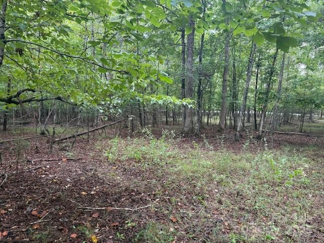 00 Zackery Lane - Photo 15