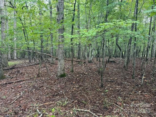 00 Zackery Lane - Photo 16