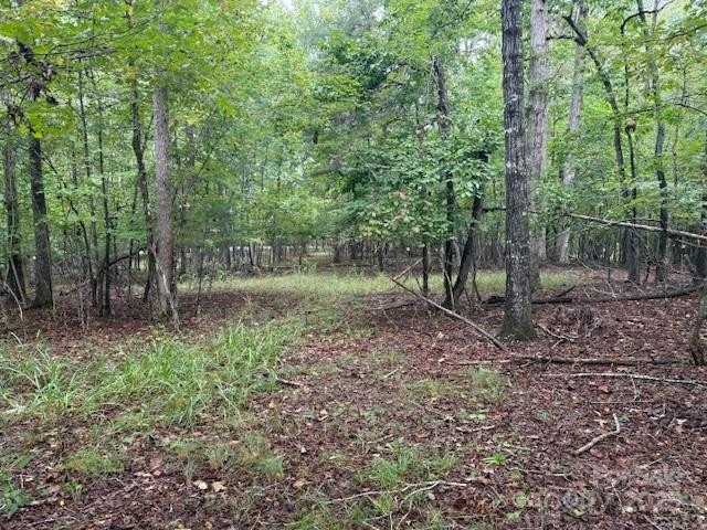 00 Zackery Lane - Photo 17