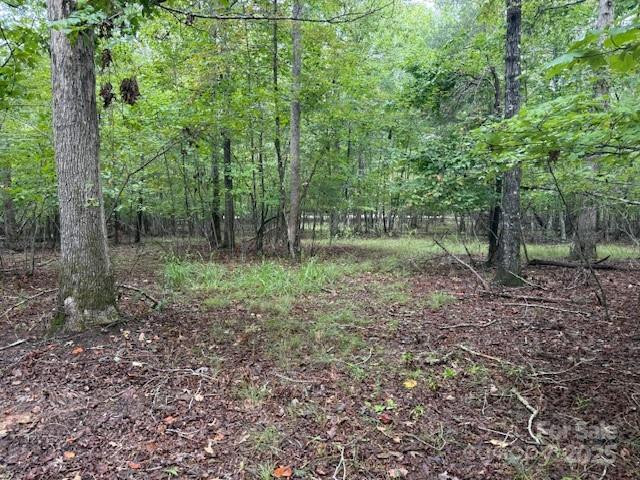 00 Zackery Lane - Photo 18