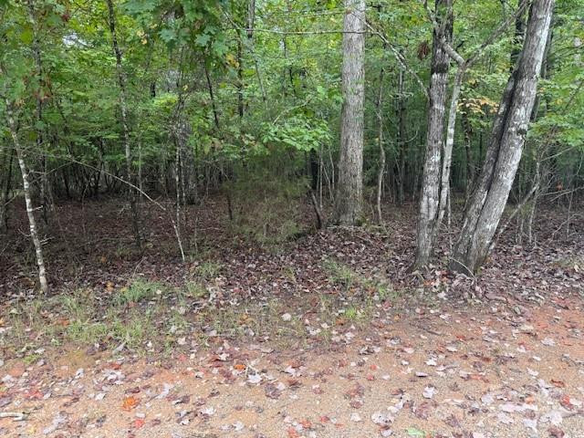 00 Zackery Lane - Photo 22