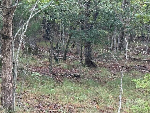 00 Zackery Lane - Photo 10