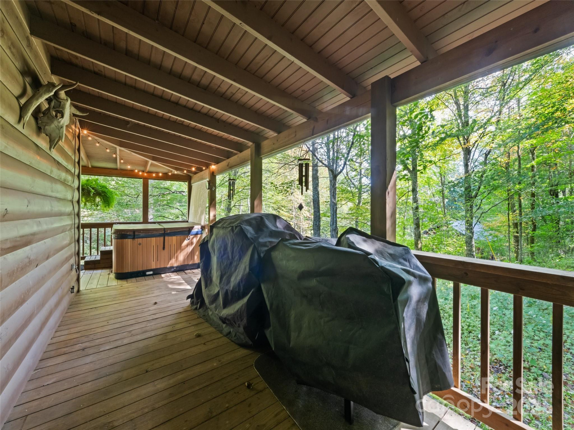 839 Wolf Laurel Drive - Photo 11