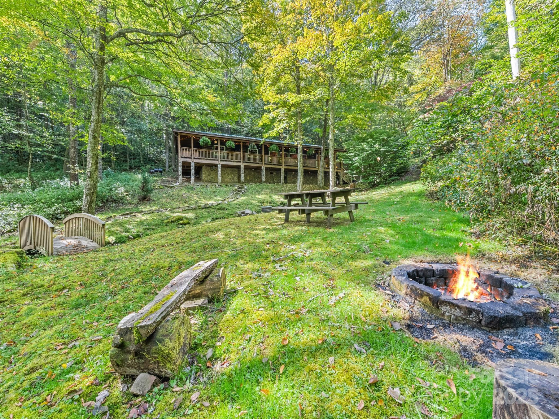 839 Wolf Laurel Drive - Photo 3