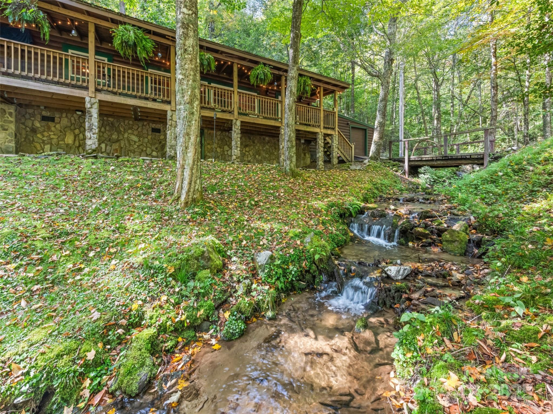 839 Wolf Laurel Drive - Photo 5