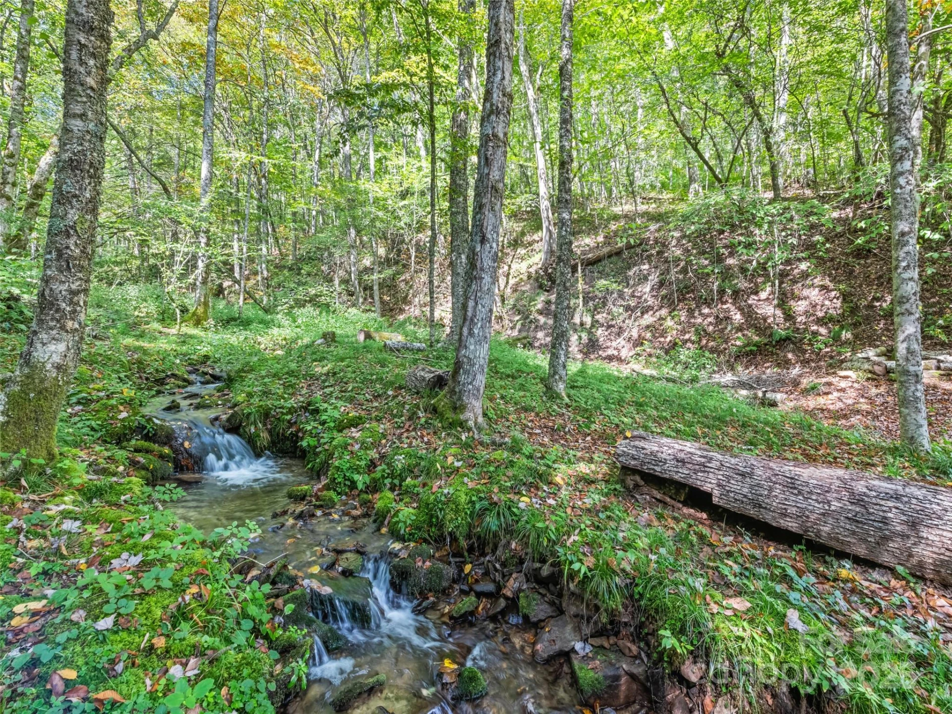 839 Wolf Laurel Drive - Photo 7
