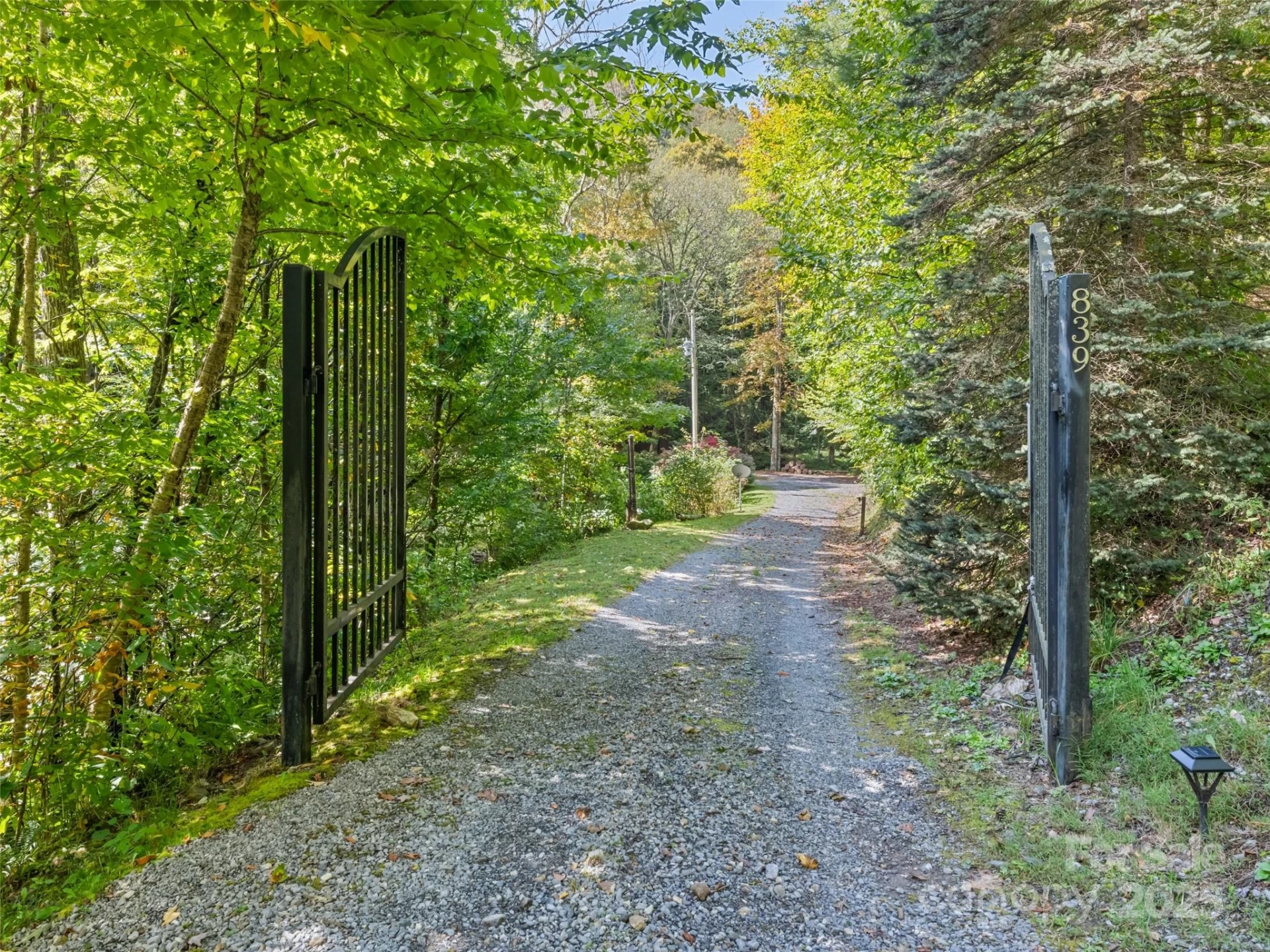 839 Wolf Laurel Drive - Photo 8