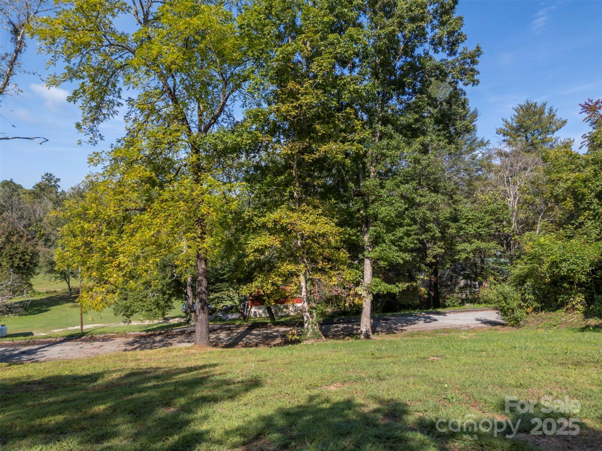 213 Calhoun Street - Photo 29