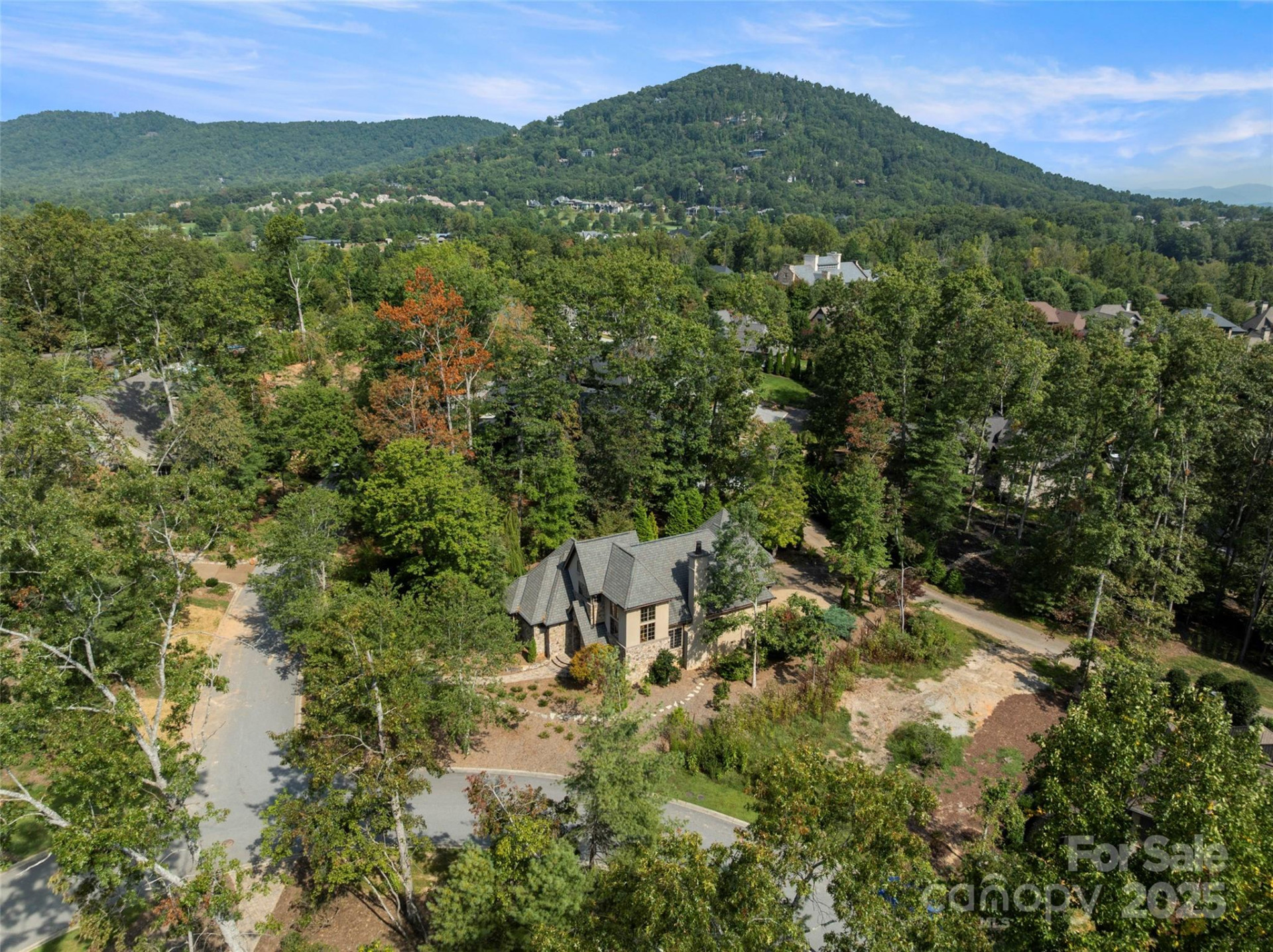 82 Running Creek Trail - Photo 39