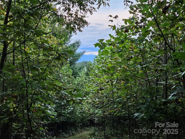000 Double Island Road, Green Mountain, NC, 28740