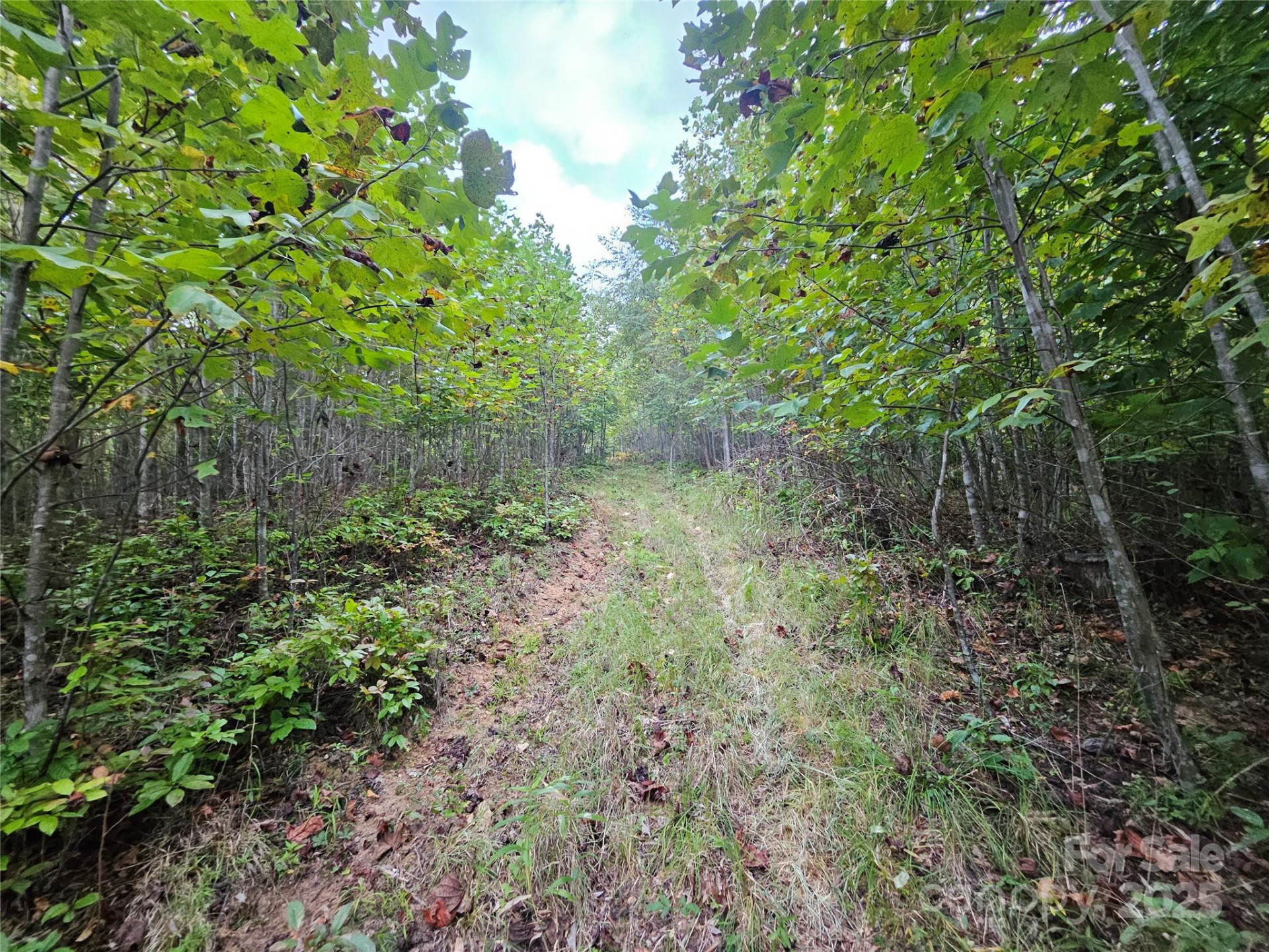 000 Double Island Road - Photo 11