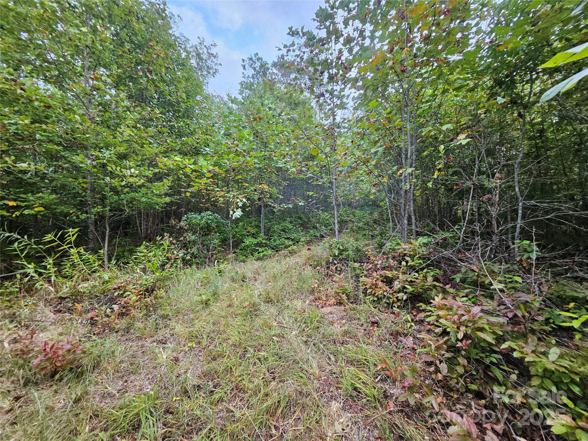 000 Double Island Road - Photo 12