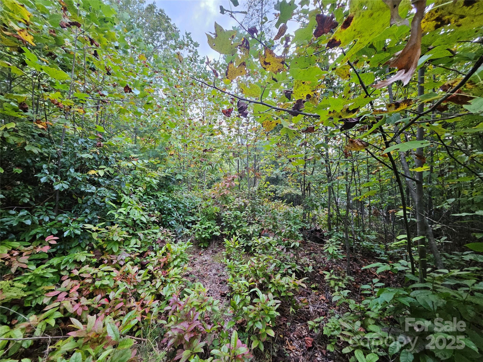 000 Double Island Road - Photo 13