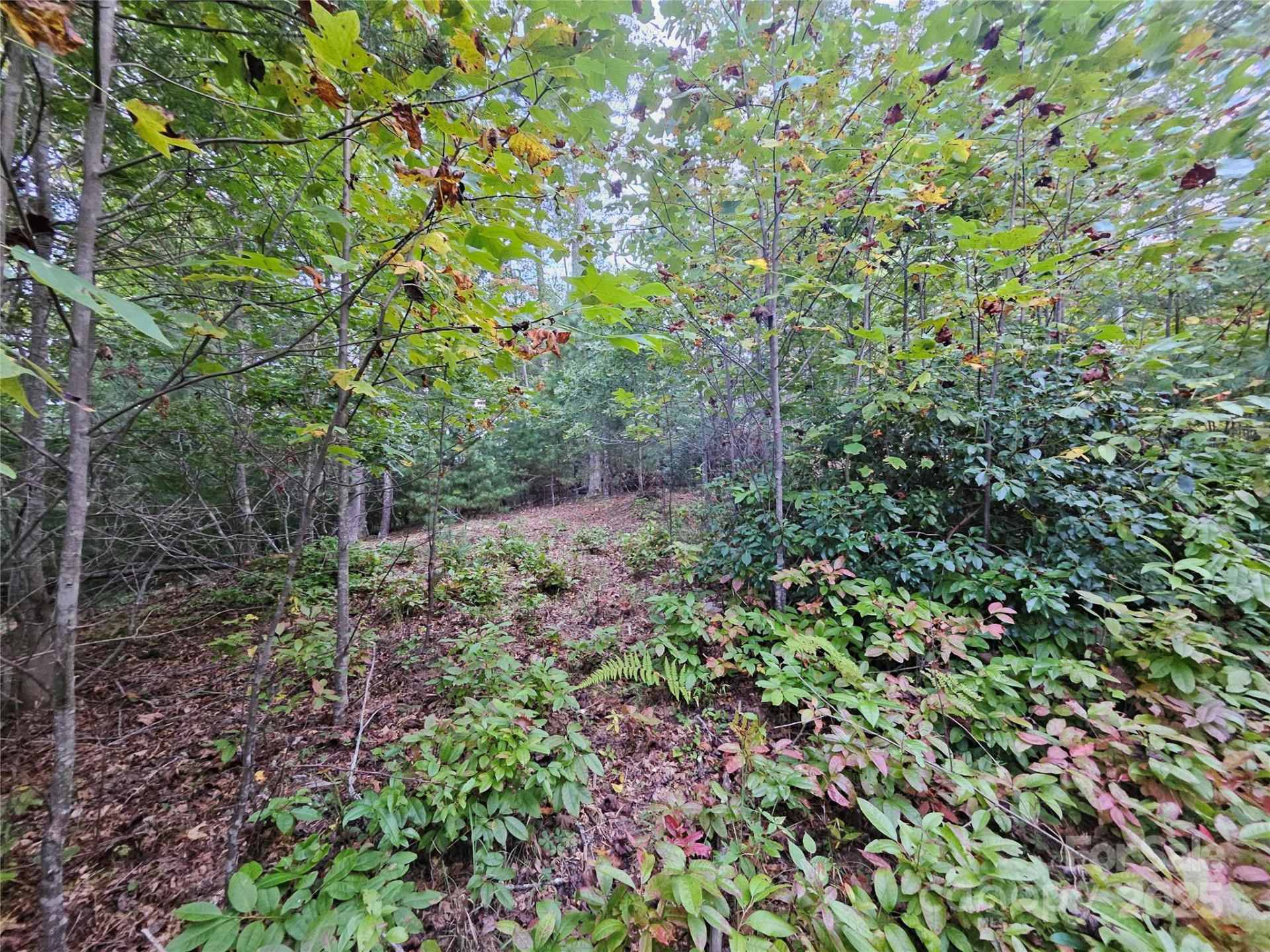 000 Double Island Road - Photo 14