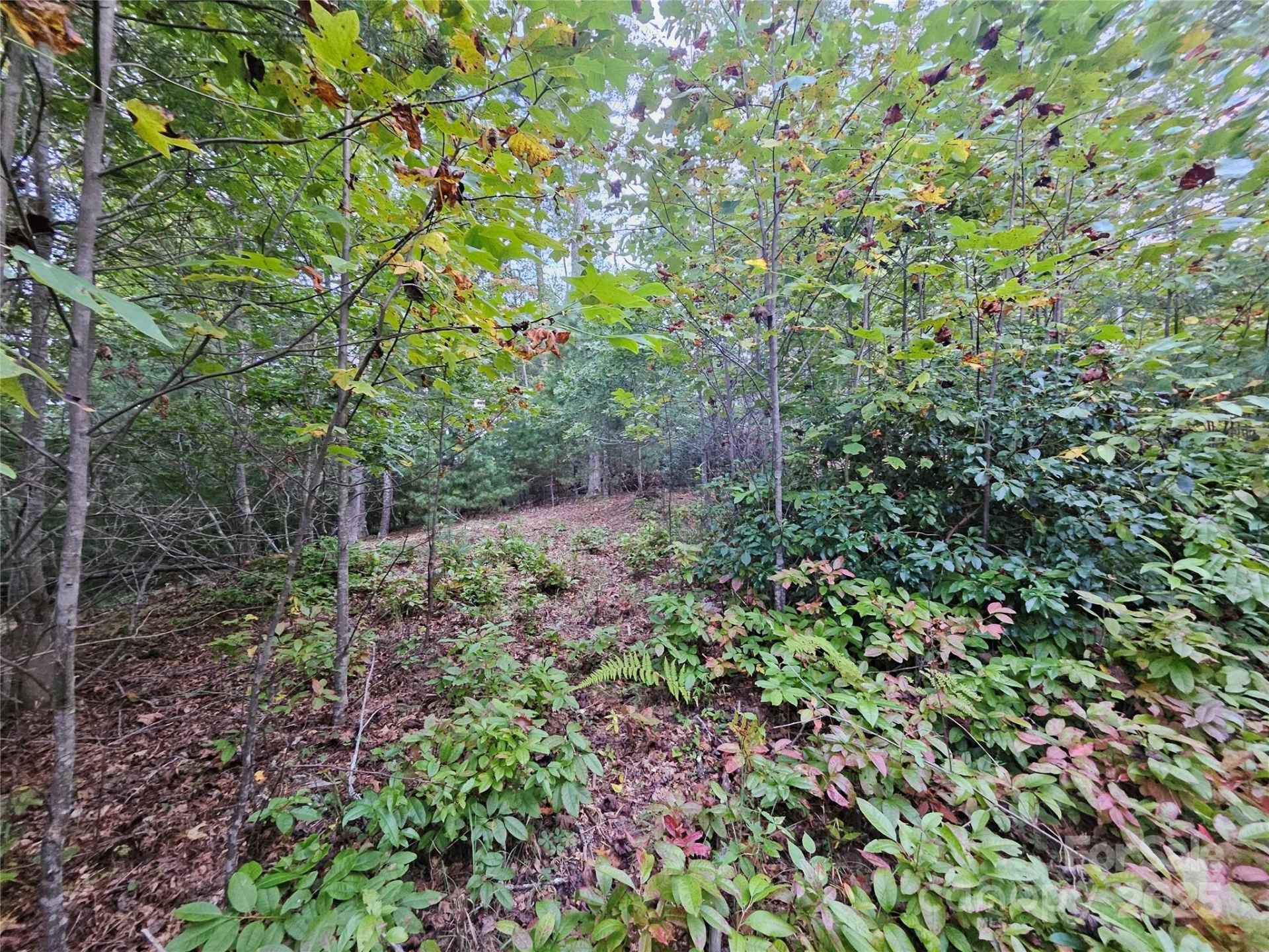 000 Double Island Road - Photo 14