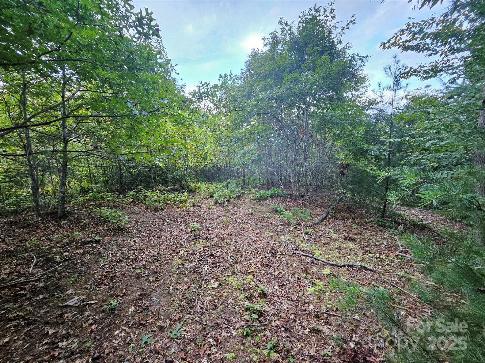 000 Double Island Road - Photo 16