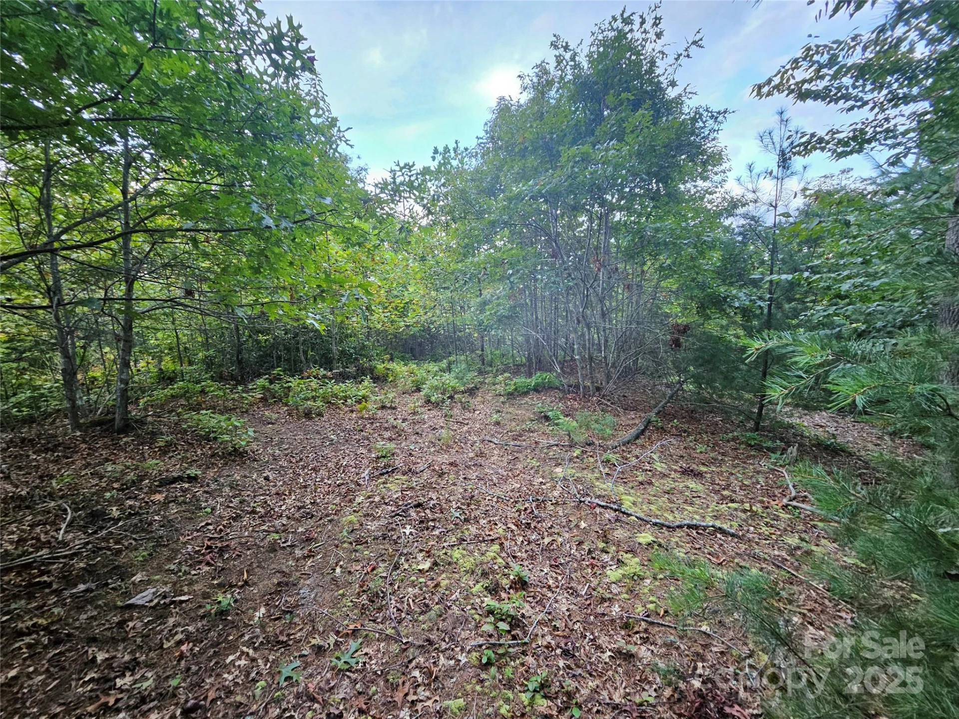 000 Double Island Road - Photo 16
