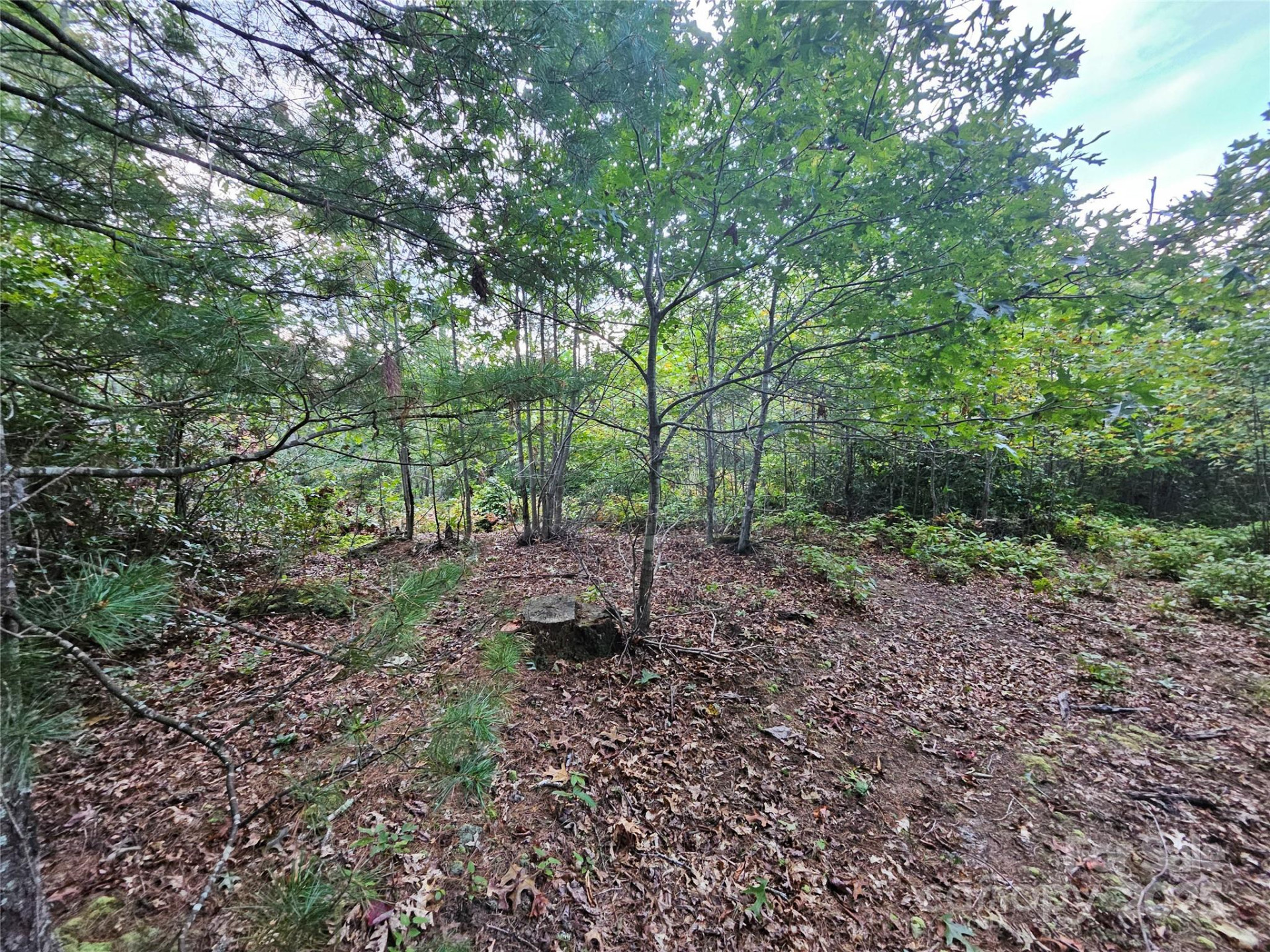 000 Double Island Road - Photo 17