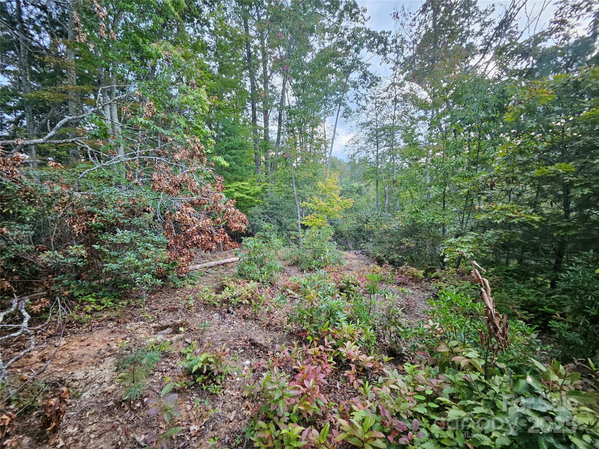 000 Double Island Road - Photo 18