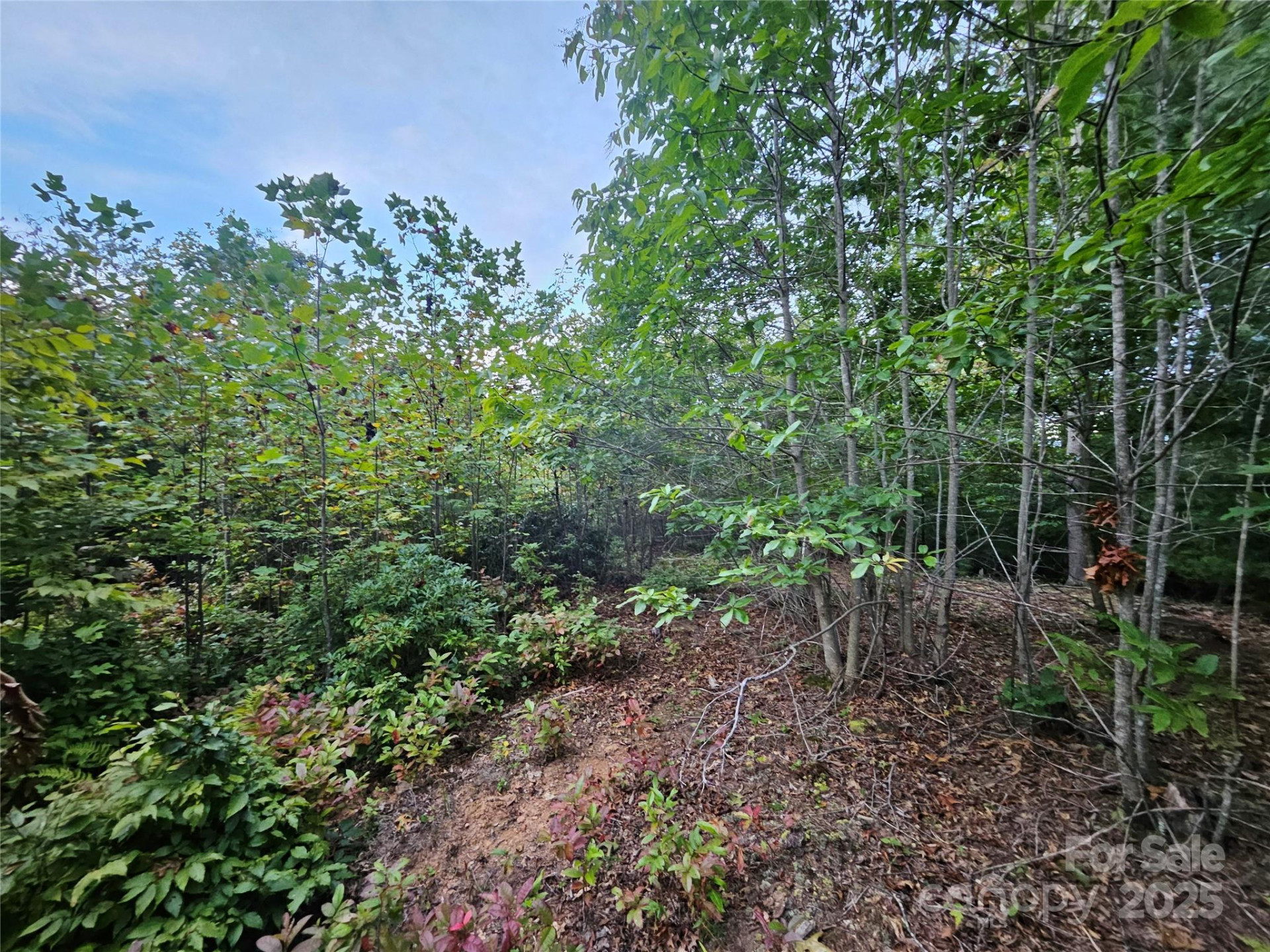 000 Double Island Road - Photo 19