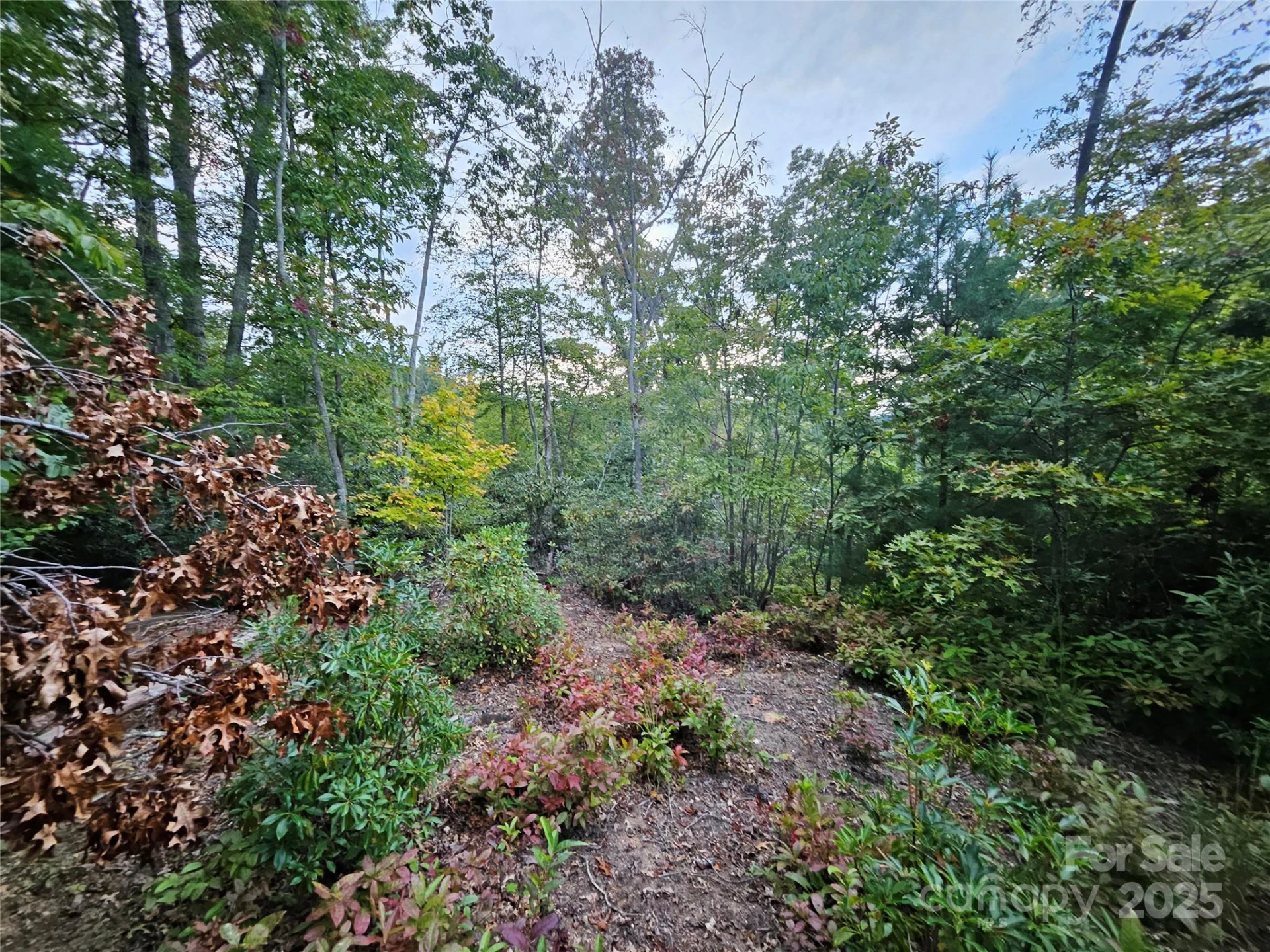 000 Double Island Road - Photo 20