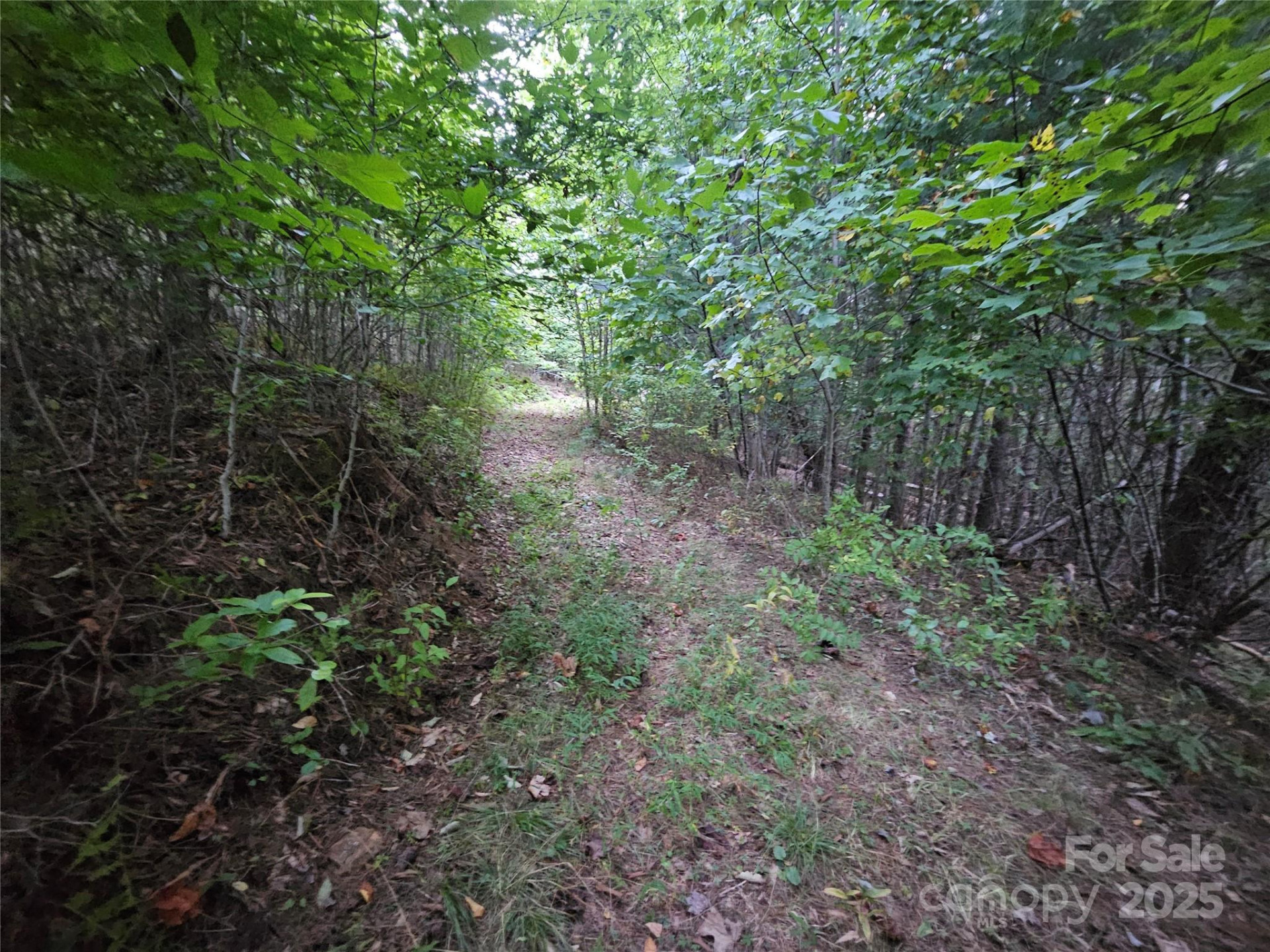 000 Double Island Road - Photo 3