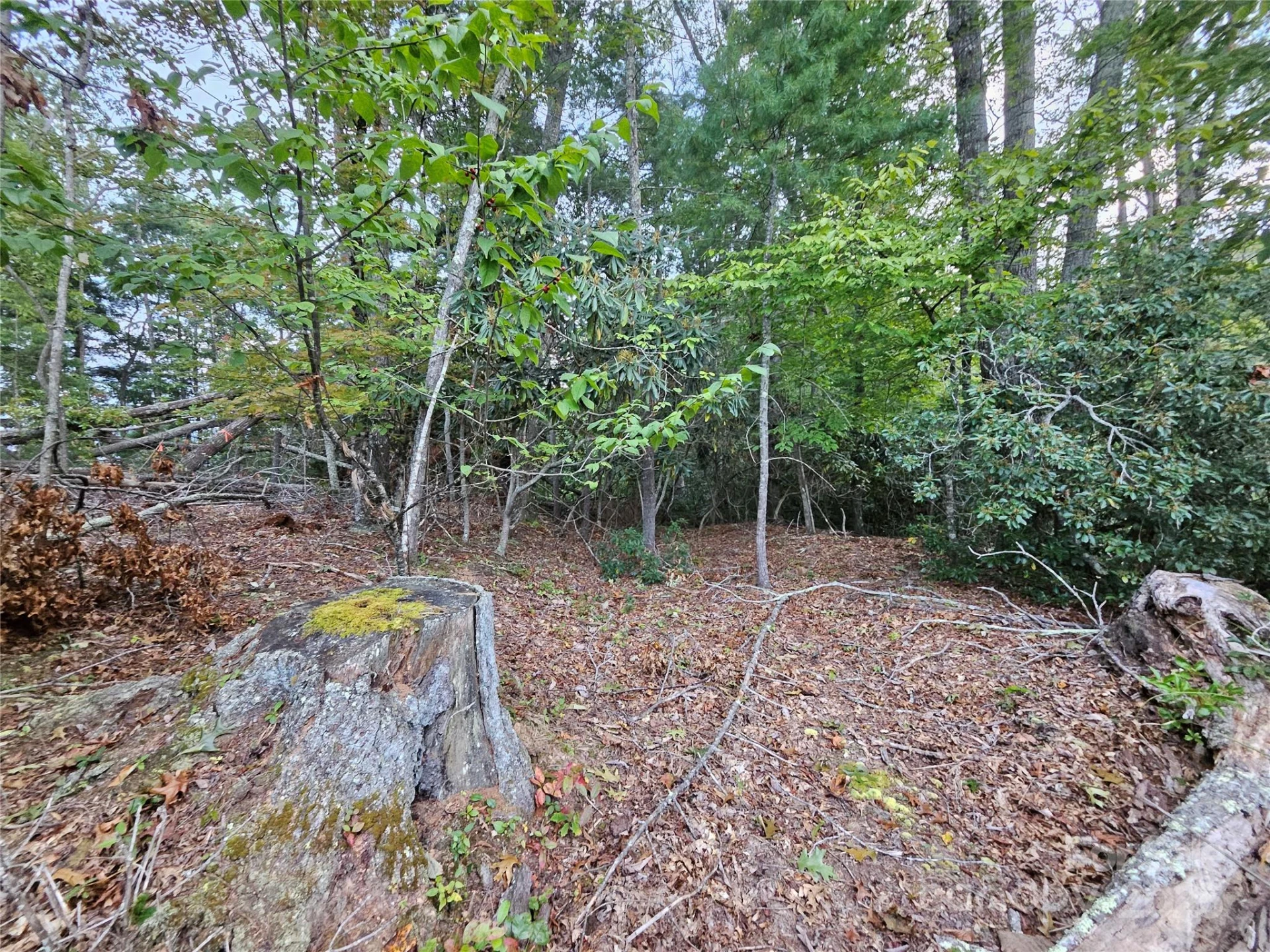 000 Double Island Road - Photo 21