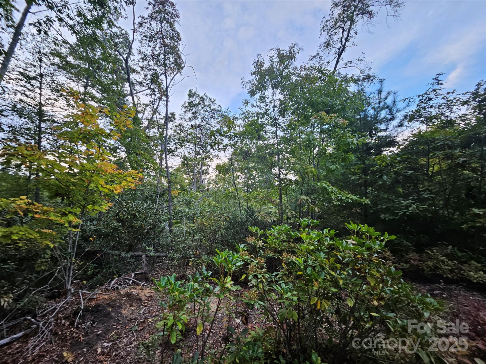 000 Double Island Road - Photo 22