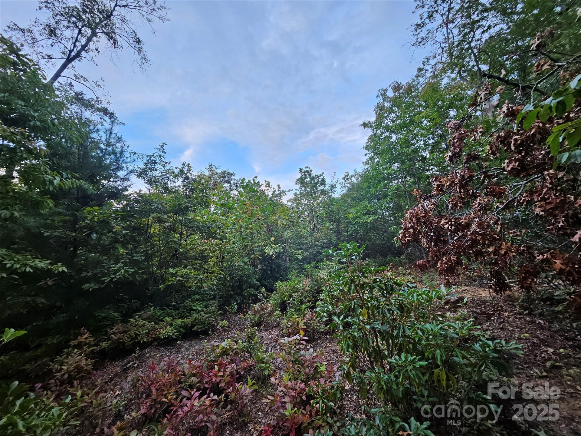 000 Double Island Road - Photo 23