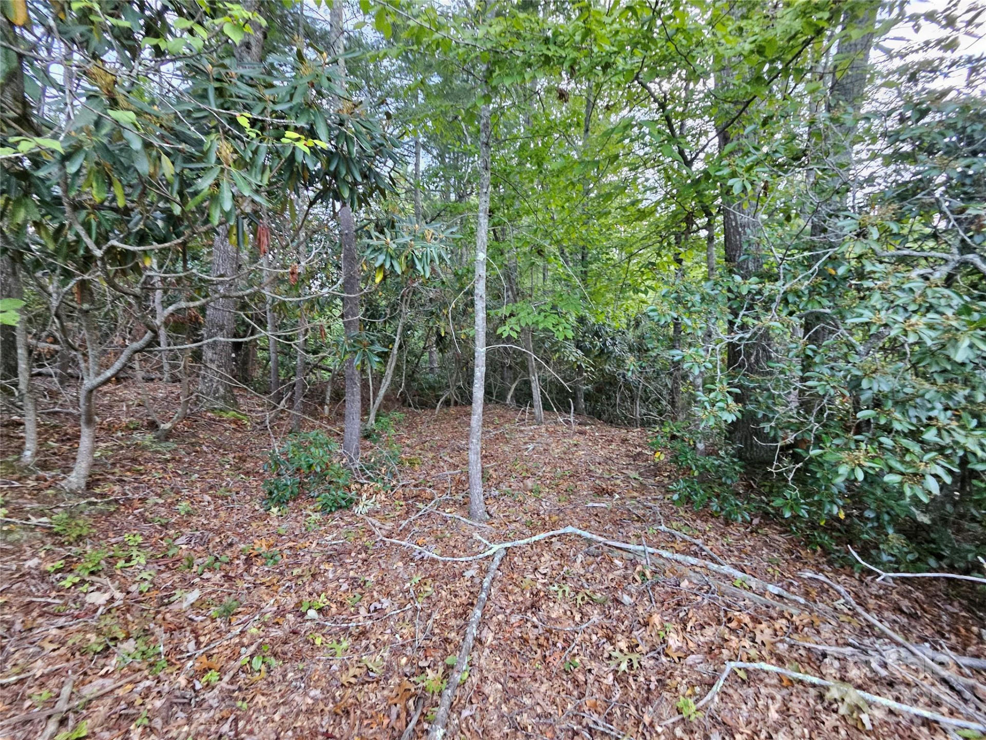 000 Double Island Road - Photo 24