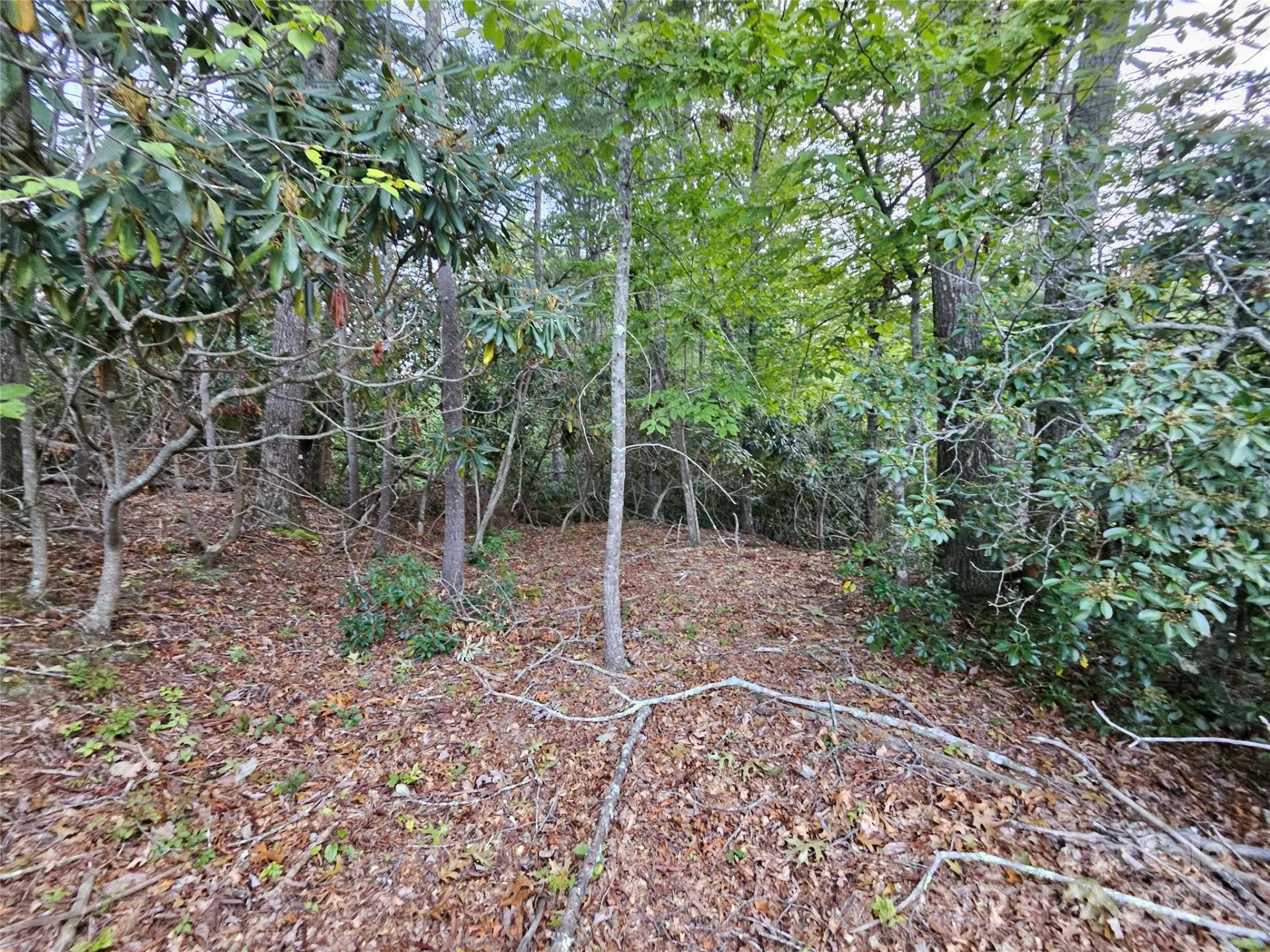 000 Double Island Road - Photo 24