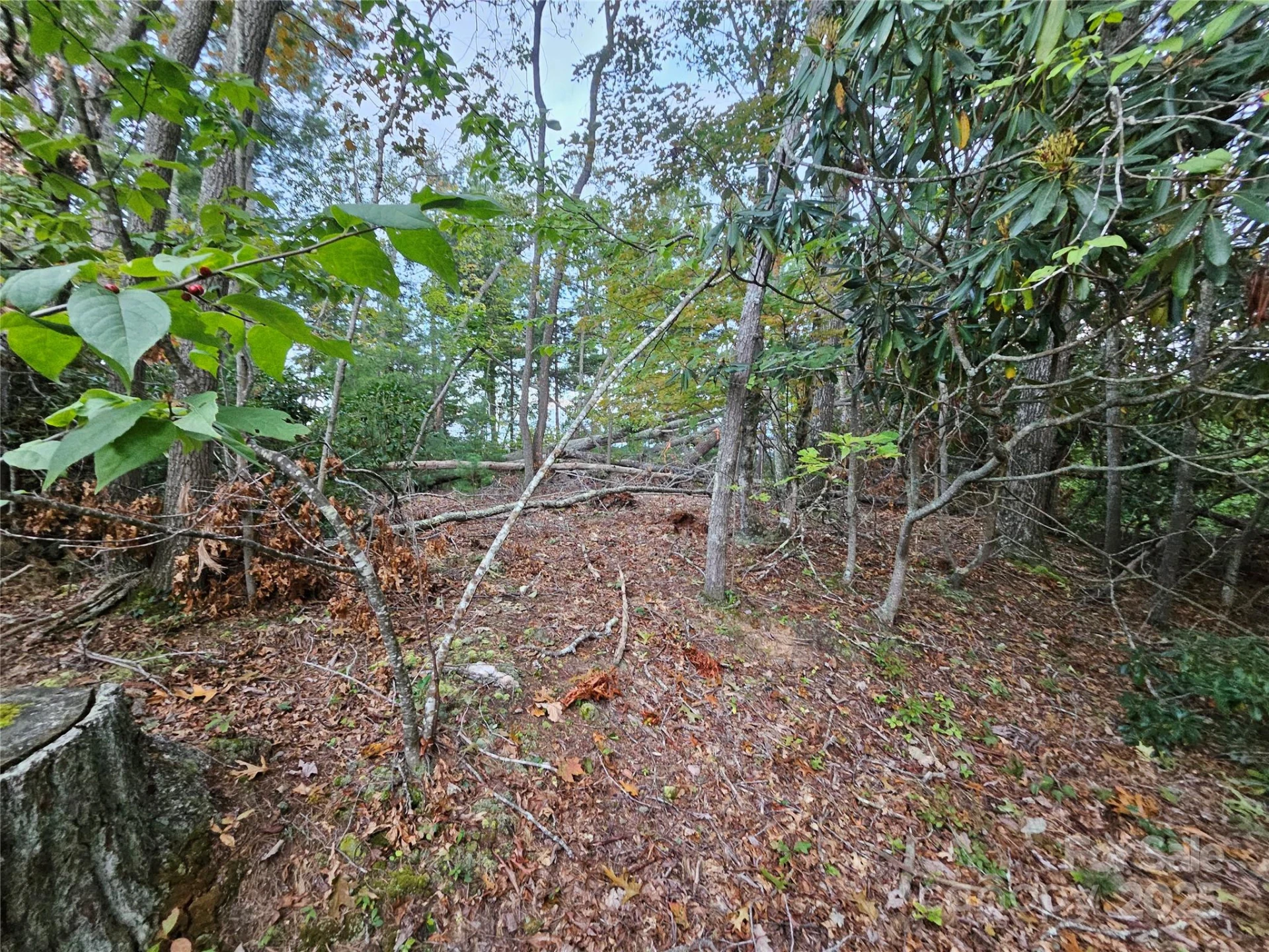 000 Double Island Road - Photo 25