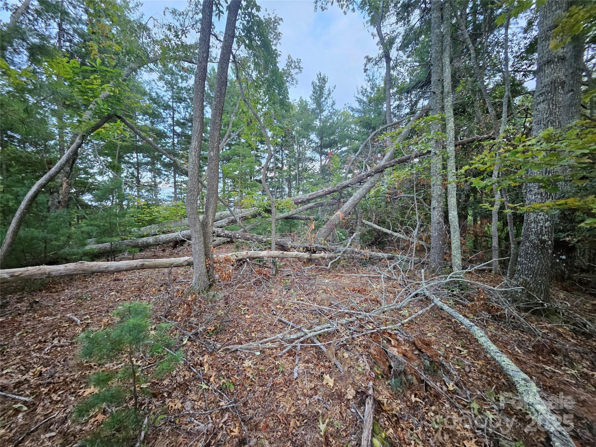 000 Double Island Road - Photo 26